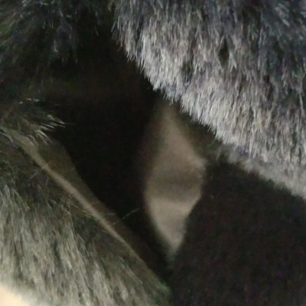 Caracilia Short Faux Fur Vest - Picture 7 of 14